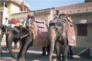 Amber Fort